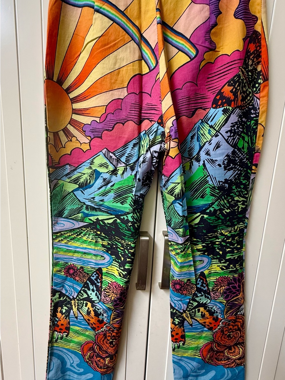 Current Mood Multicolor Floral Rainbow Zip Front pants - Picture 2 of 4